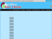 Tablet Screenshot of carolinararechicks.net